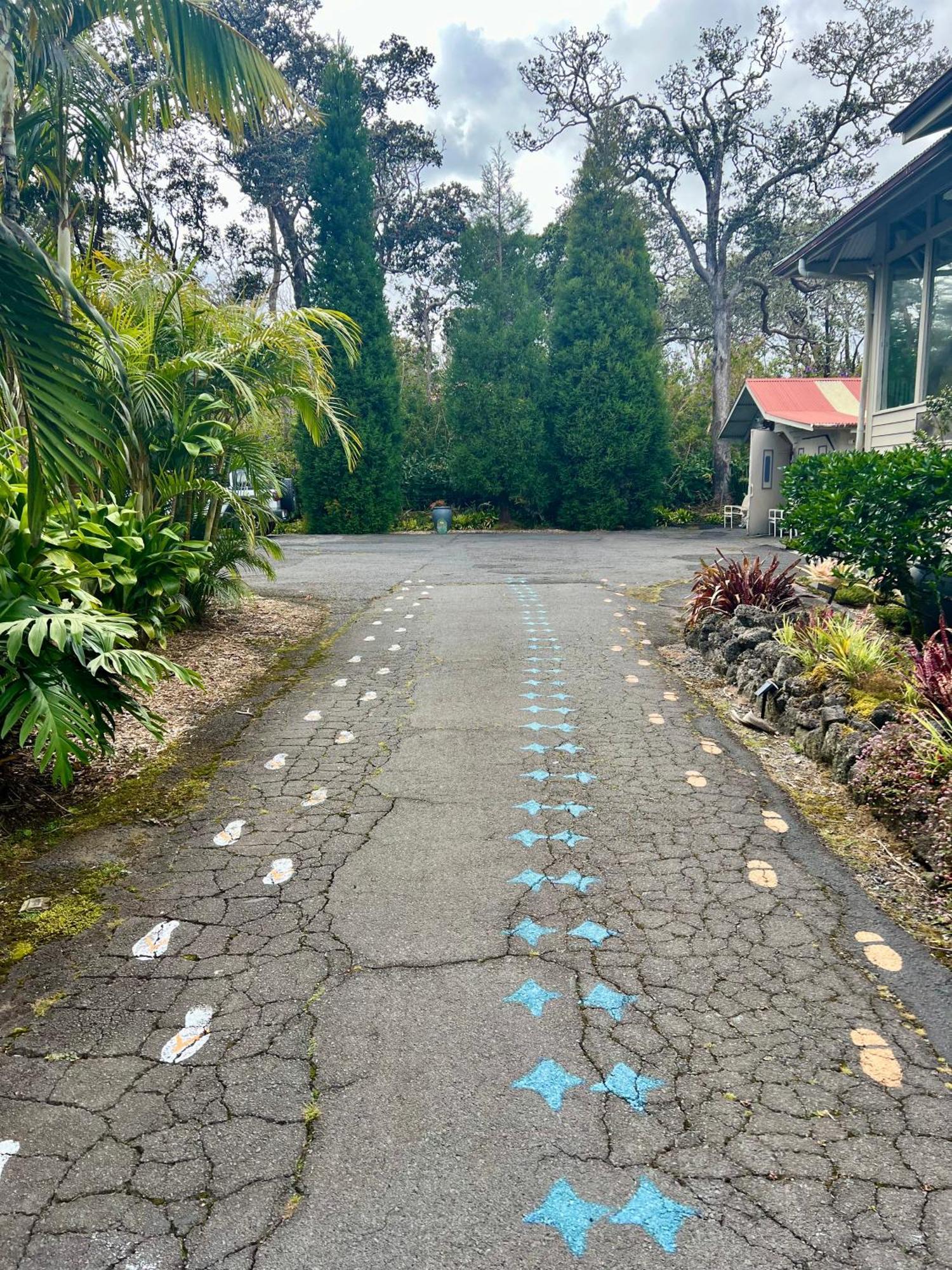 Aloha Junction Bed And Breakfast -Minutes Away From Hawaii Volcanoes National Park Екстер'єр фото