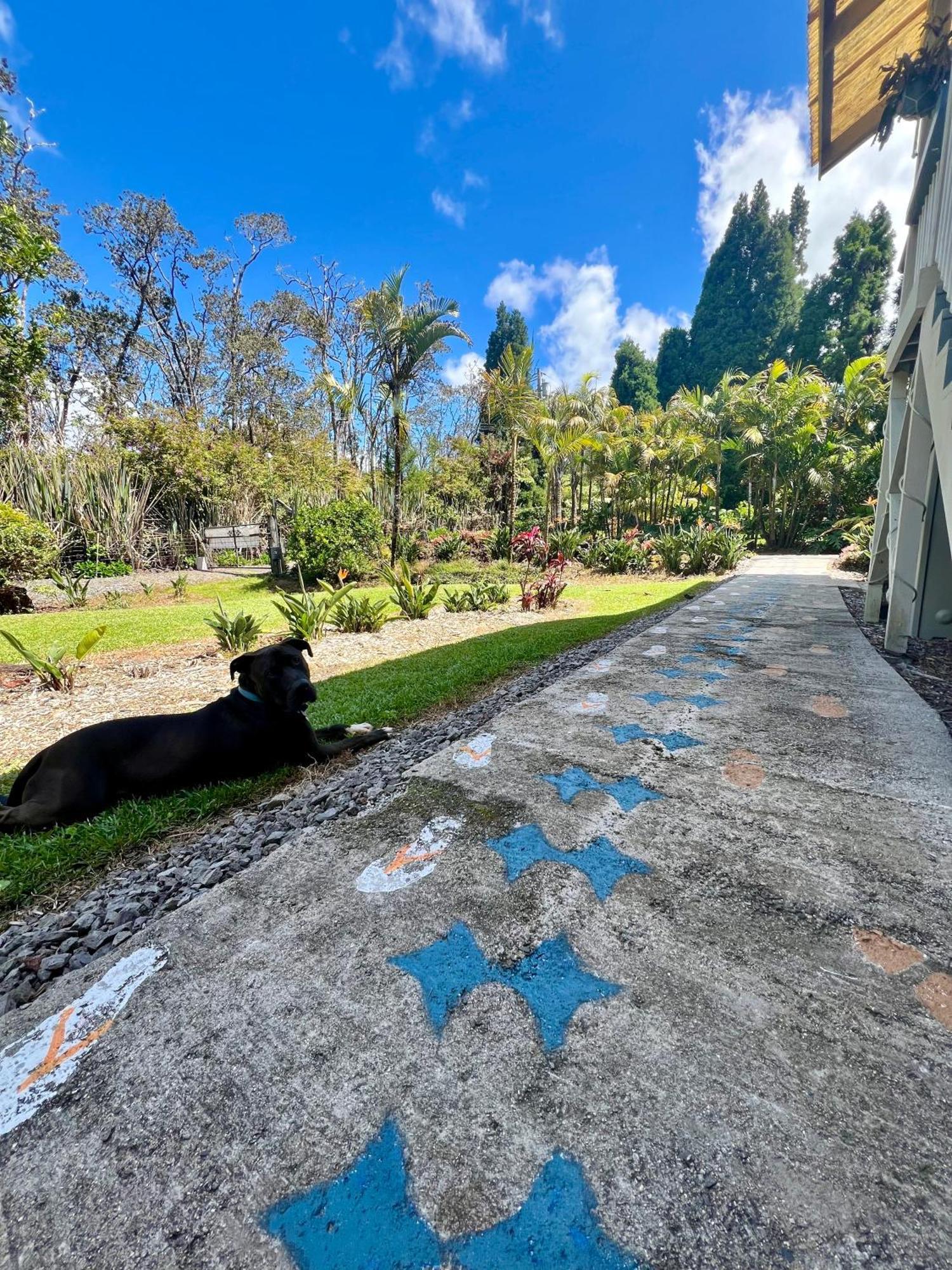 Aloha Junction Bed And Breakfast -Minutes Away From Hawaii Volcanoes National Park Екстер'єр фото