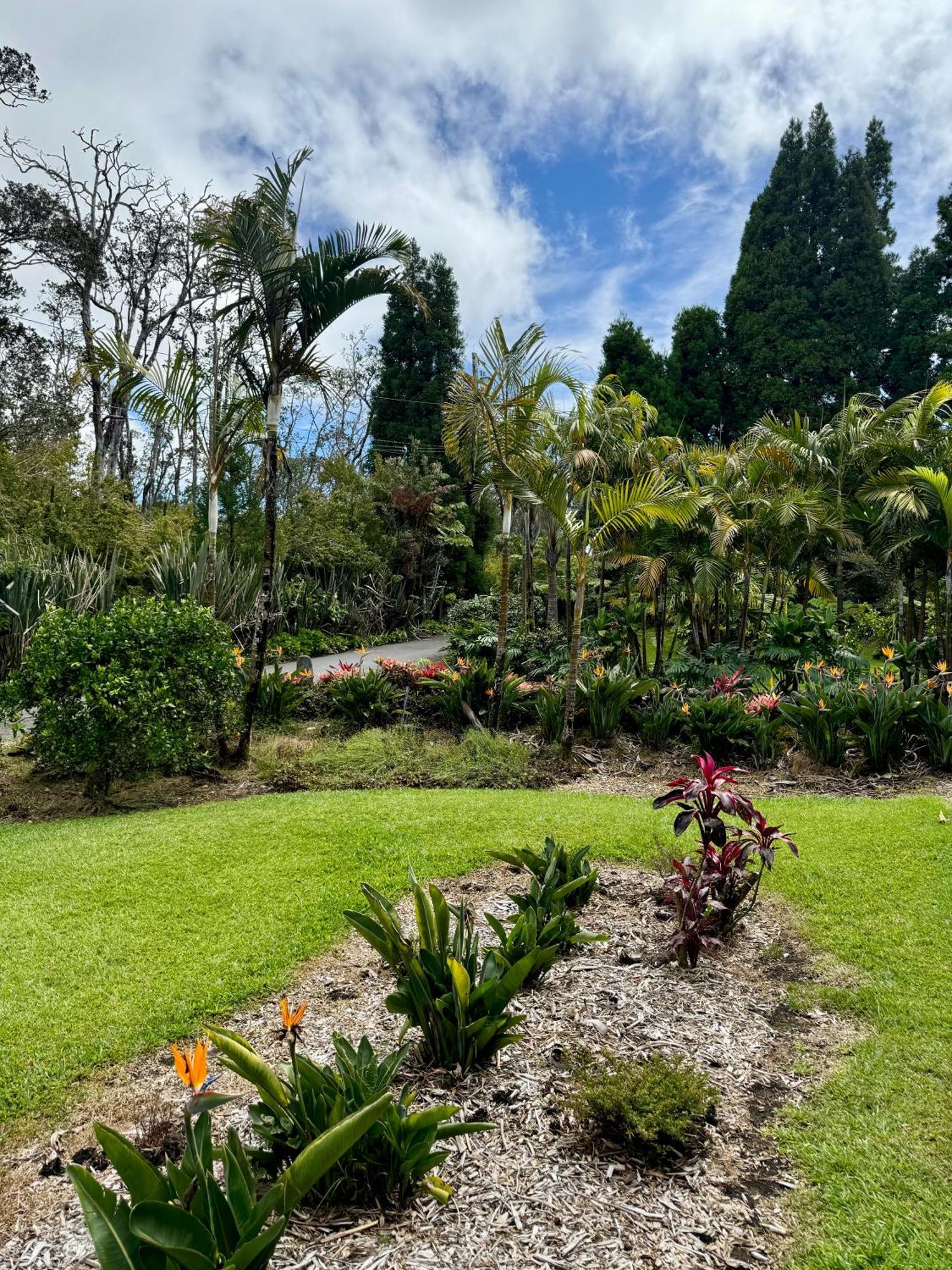 Aloha Junction Bed And Breakfast -Minutes Away From Hawaii Volcanoes National Park Екстер'єр фото