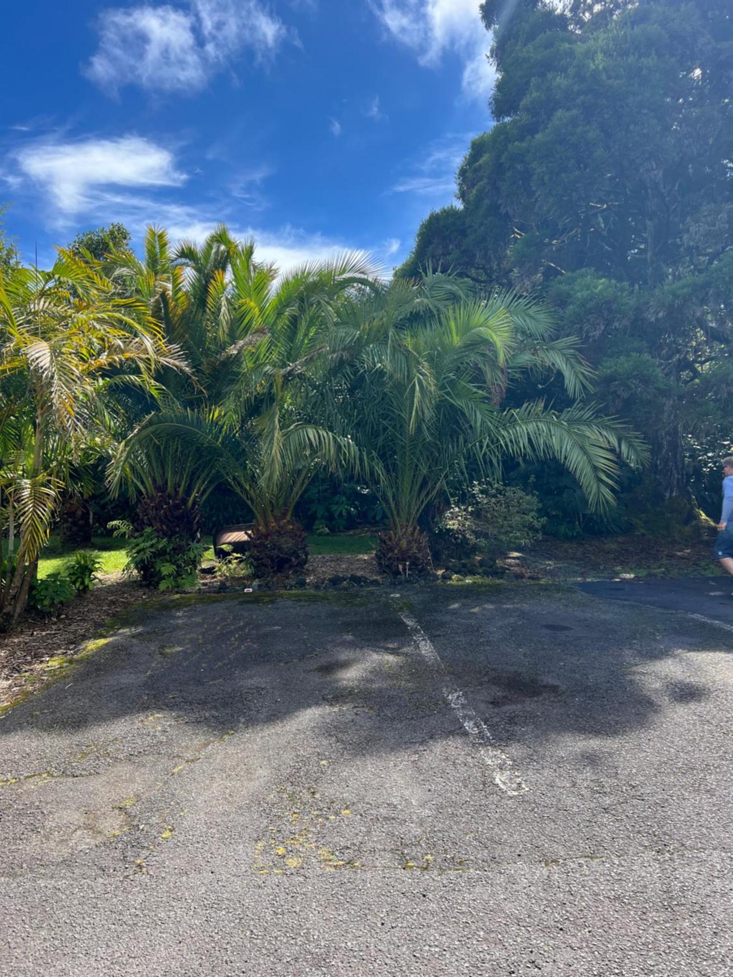Aloha Junction Bed And Breakfast -Minutes Away From Hawaii Volcanoes National Park Екстер'єр фото