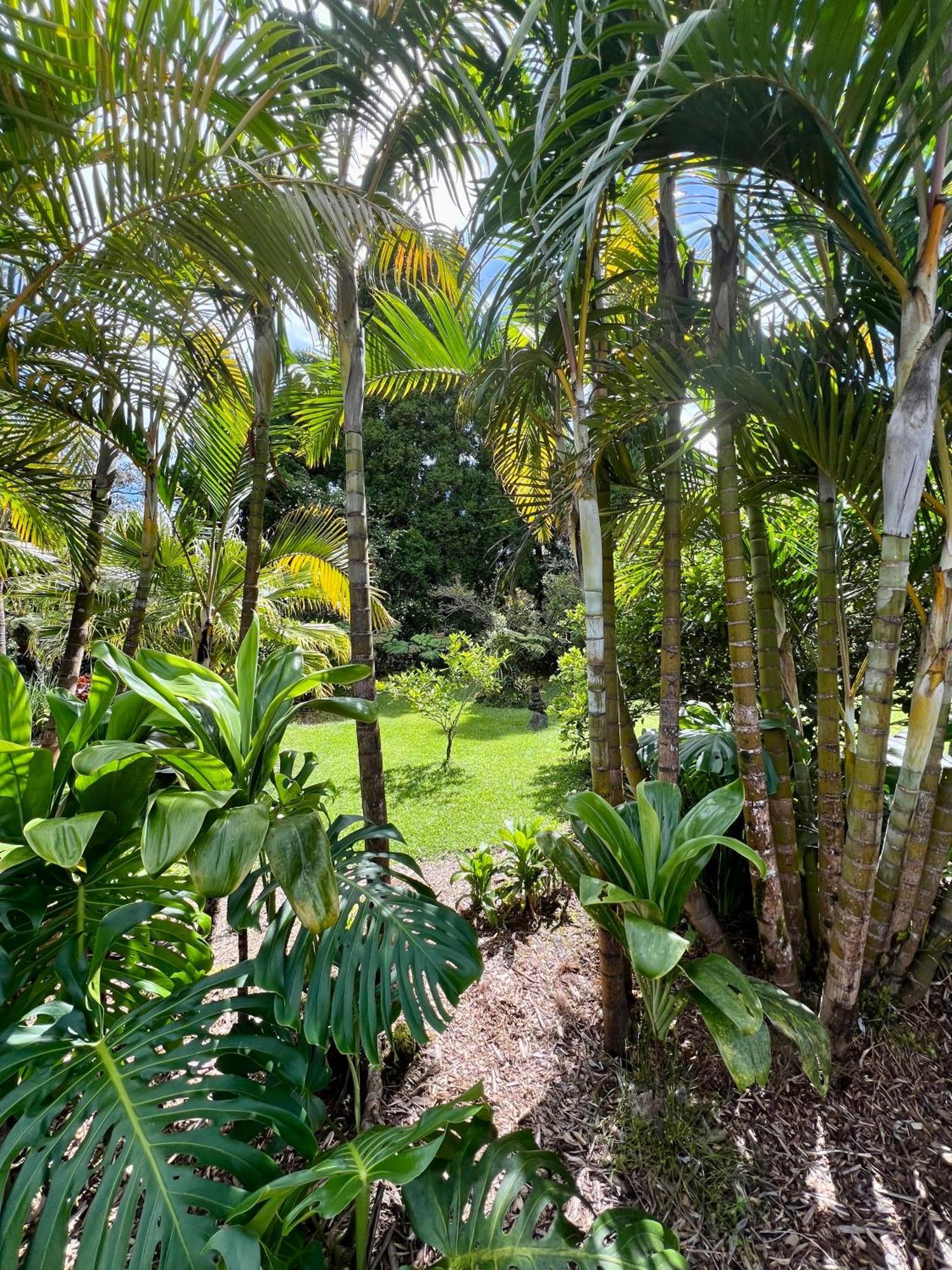 Aloha Junction Bed And Breakfast -Minutes Away From Hawaii Volcanoes National Park Екстер'єр фото